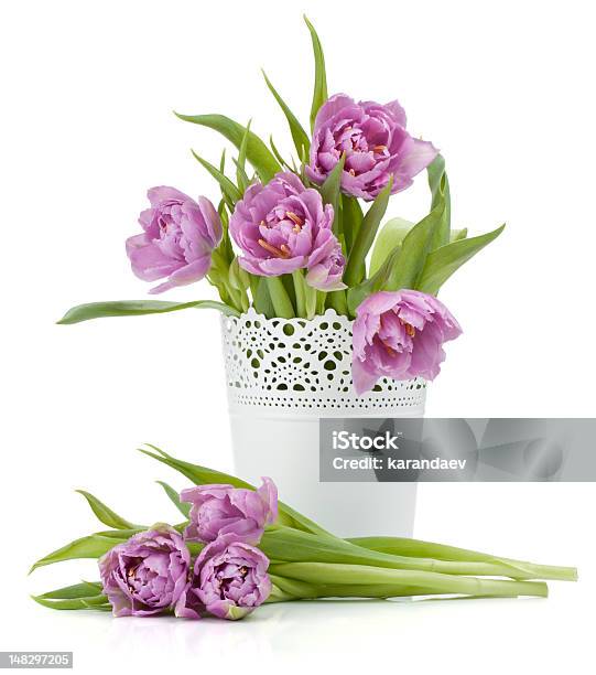 Pink Tulips Stock Photo - Download Image Now - Beauty, Beauty In Nature, Bouquet