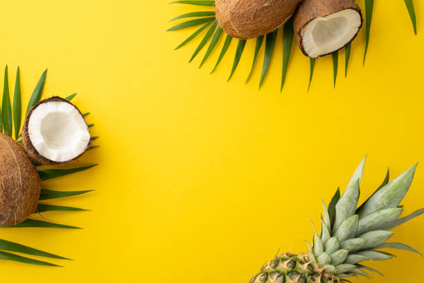 Above top view photo of coco nut ananas with pine apple isolated ob vibrant yellow background with copyspace Above top view photo of coco nut ananas with pine apple isolated ob vibrant yellow background with copyspace ananas stock pictures, royalty-free photos & images