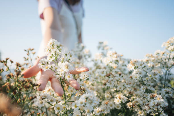 istock Giving beautiful nature to you 1482980100
