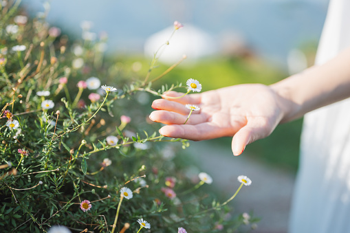 Connect to nature Close up hand with Flower in hand