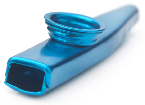 istock Kazoo musical instrument 1482982691