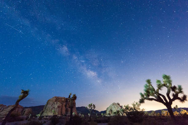 istock The Milky Way over Joshua Tree National Park 1482985901