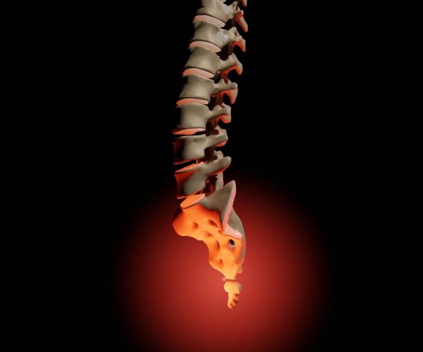 istock Isolated human's tailbone pain, called coccydynia 1482989921