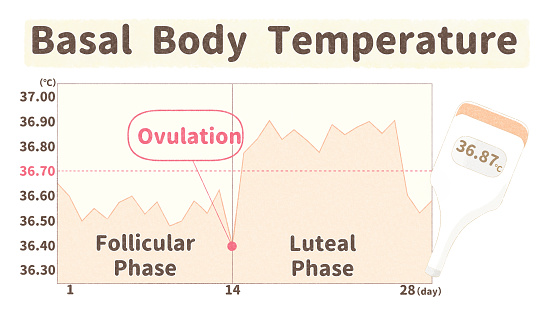 BBT chart and basal thermometer; degree Celsius