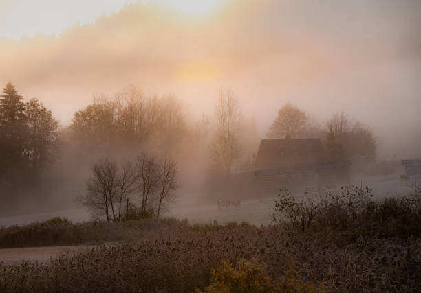 typical residential building and lawn with melting snow in fog in early spring in Finland