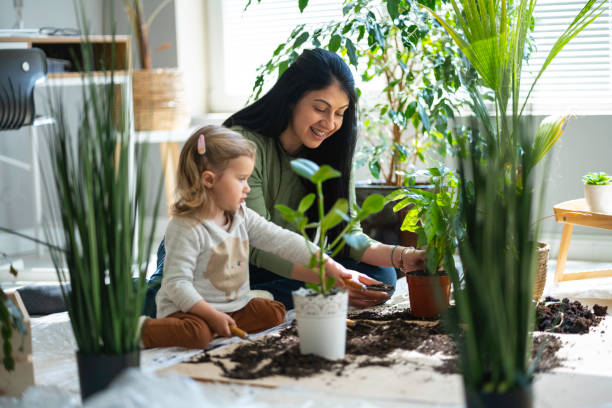 istock Home gardening. Mom and kid repotting houseplants. 1482995755