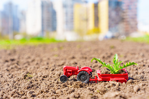 Red toy tractor with dandelion leaves in its trailer, standing on freshly plowed soil, with a blurred cityscape in the background, symbolizing the concept of spring urban greening.