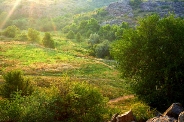 istock Mountain cheerful green valley gorge with footpath filled with warm sunlight 1483000056