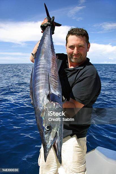 Wahooscombrid Fisch Familie Stockfoto und mehr Bilder von Wahoo-Makrele - Wahoo-Makrele, Fisch, Fischer - Tätigkeit