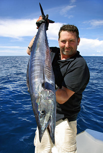 istock Wahoo - Scombrid fish family 148300030