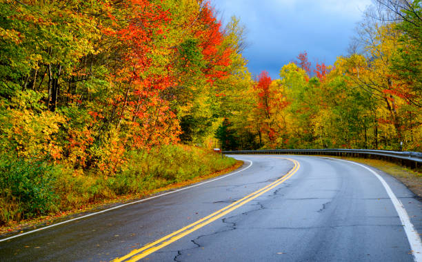 istock Winding Road in Autumn, New England. 1483000659