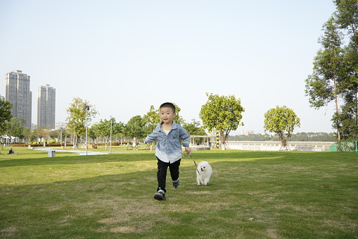 Pomeranians become great companions for children to explore the world together