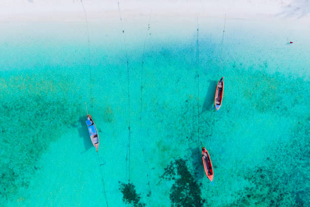 istock drone view at the beach of Ko Lipe 1483008130