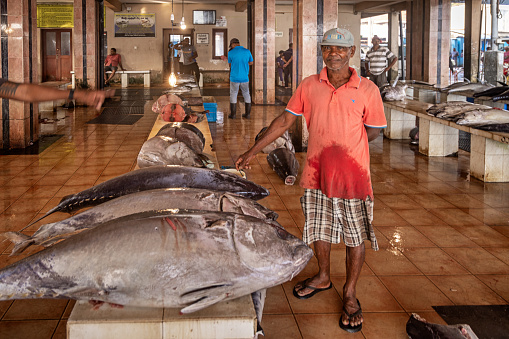 Negombo, Sri Lanka - March 7th 2023: Happy fishmonger with three large yellowfin tuna fishes at the fish market in Negombo which is the largest in Sri Lanka and is a center for supplying fish to the capital Colombo and for export