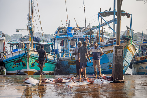 Agadir, Morocco - March 01, 2016: Fisherman cleaning fish in the fishing port of the city
