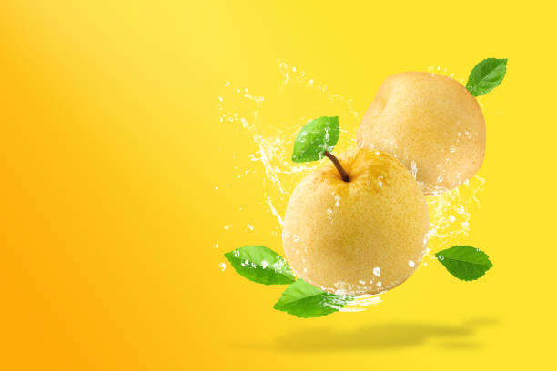 istock Water splashing on Fresh Chinese pear on yellow background. 1483010602