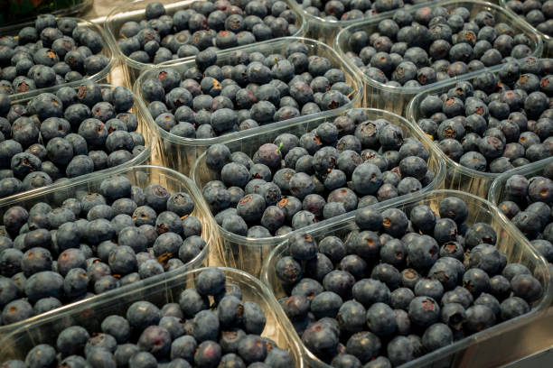 istock Full frame image of juicy, fresh blueberries. 1483010877