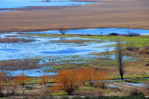 istock Lake Vrana, Croatia 1483011675