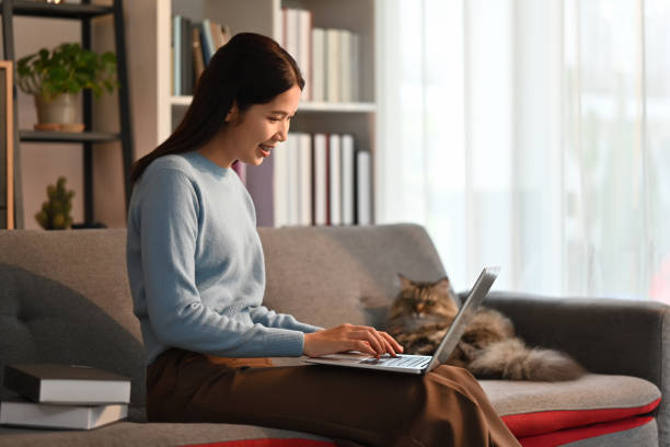 Asian woman playing her cat on theAsian woman playing her cat on the table in modern home office. table in modern home office. stock photo