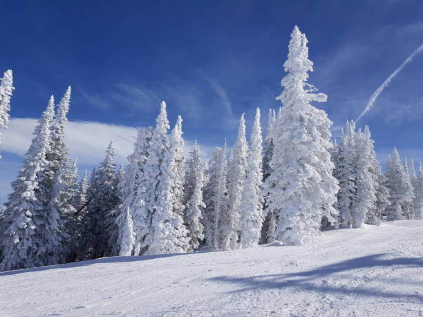 istock Snowy scene at Steamboat Springs 1483014530