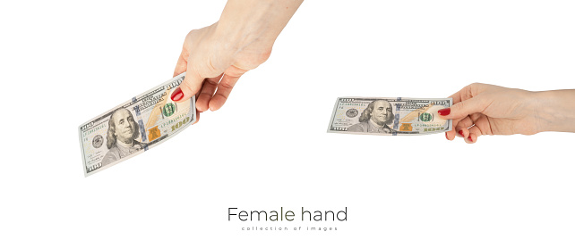 Female hand holds american dollars money. Finance, earnings, crediting. High quality photo