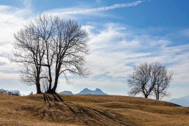 istock Scenic view of trees againt sky, Lecco, Italy 1483015733