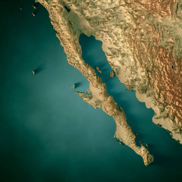 istock Baja California Topographic Map 3D Render Dark Ocean Color 1483015814