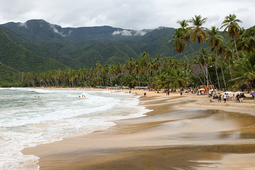 Scenic view of Playa Grande with sandy beach, palm trees and mountains in background, Choroni, Venezuela.