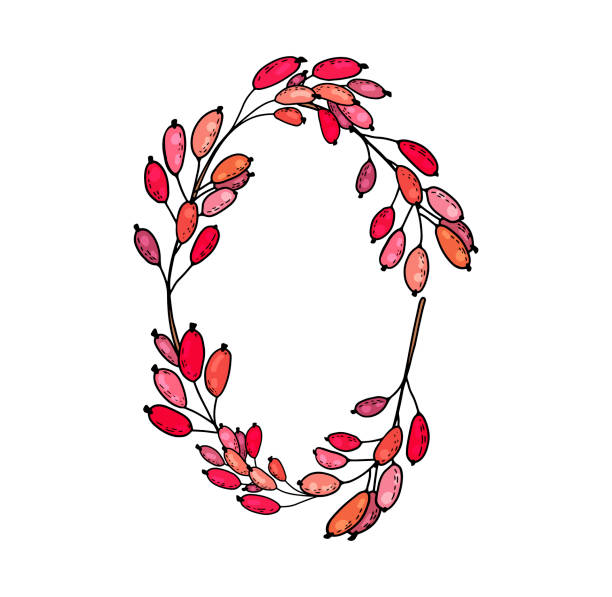 ilustrações de stock, clip art, desenhos animados e ícones de hand drawn cute botanical frame of twigs with red berries of barberry, cranberry, lingonberry - love teamwork cooperation machine