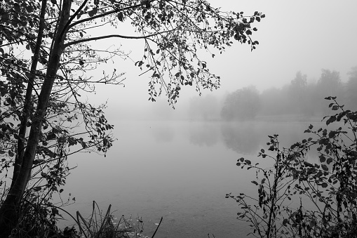 Germeringer See near Germering in Upper Bavaria. Landscape at the lake in the fog. Black and white shot. Foggy morning in nature.