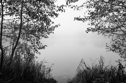 Germeringer See near Germering in Upper Bavaria. Landscape at the lake in the fog. Black and white shot. Foggy morning in nature.