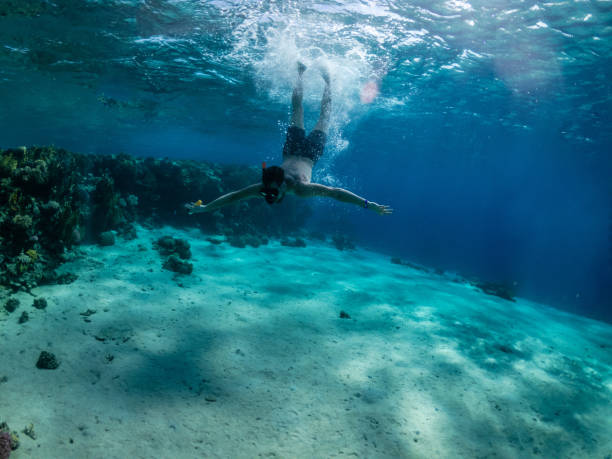 snorkel nadar en la palabra tropical exótica bajo el agua. mar rojo - vitality sea aquatic atoll fotografías e imágenes de stock