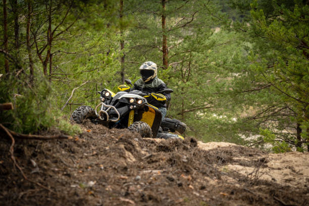 istock Professional quad biker rides in forest. Quad racing, ATV 4x4 1483028393