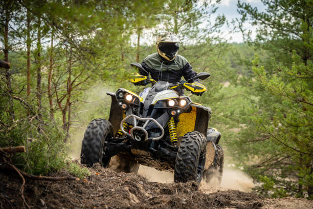 istock Professional quad biker rides in forest. Quad racing, ATV 4x4 1483028488