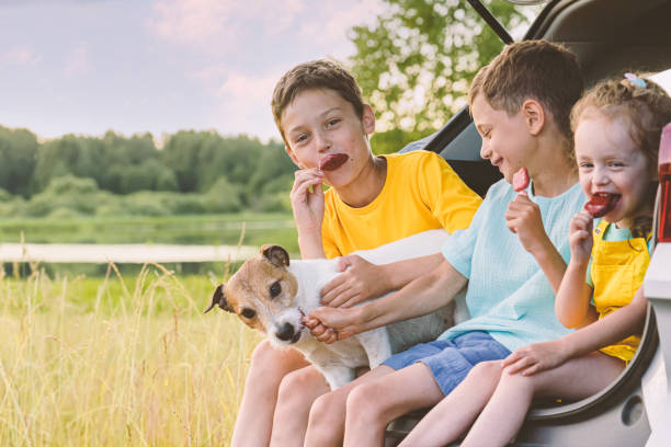 Ребенка укусила собака Ребенка укусила собака