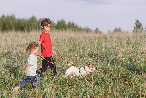 Brother and sister walking dog in grass