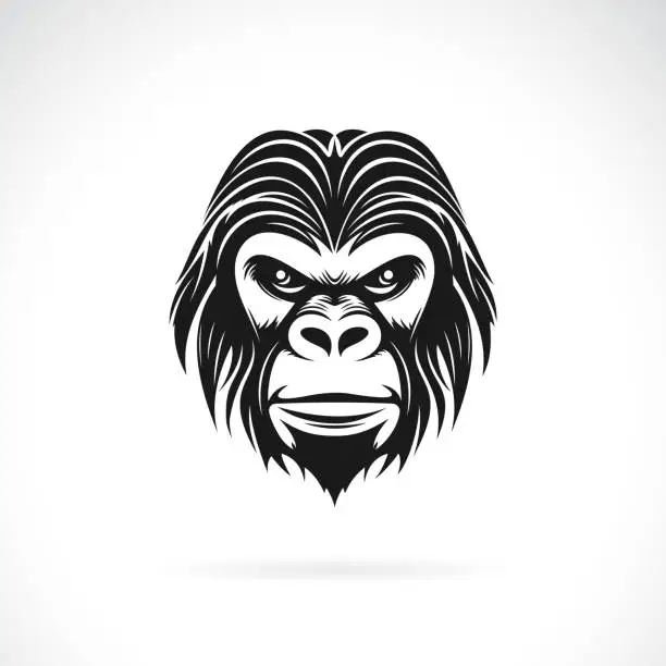 Vector illustration of Vector of a gorilla head design on white background. Easy editable layered vector illustration. Wild Animals.