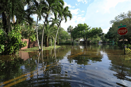 Twenty five inches of rain in 24 hours floods local Fort Lauderdale neighborhoods.