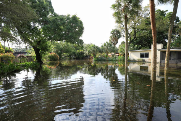 istock Fort Lauderdale Flooded Streets 1483035767