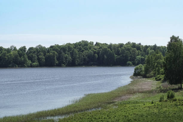 istock a lake with a couple of trees during summer 1483039853