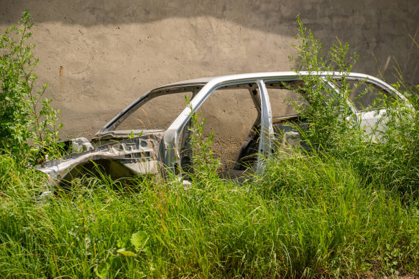 istock Rusty car body abandoned in the bushes 1483041311