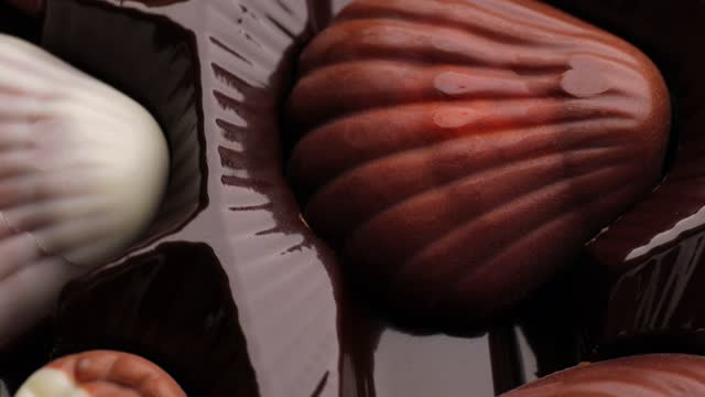 Close up of seashell chocolate, rotation in circle. seashell chocolate on a rotating 360 stack