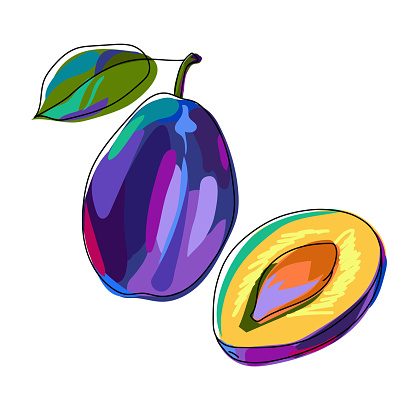 Plum fruit in bright and colorful colors. A whole fruit with a leaf and a half. Fresh and juicy plum isolated on white background. Hand drawn sketch with black outline. Cartoon style. Vector.