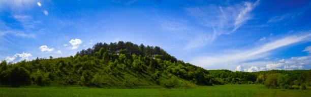 Panorama with a view of a green hill in Ukraine. A walk or a trip on a warm sunny summer day