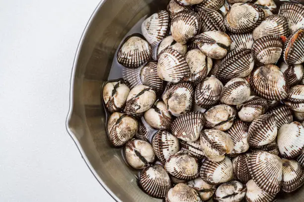 Fresh seafood cockles in a bowl
