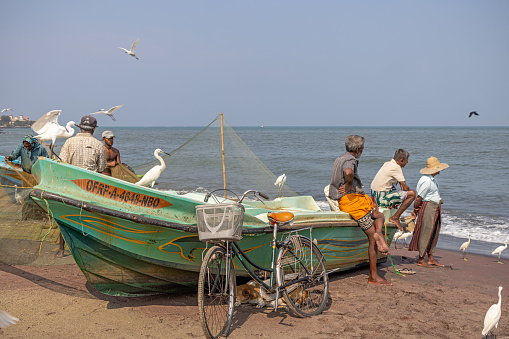 Details of the Chinese fishing nets of Fort Cochin