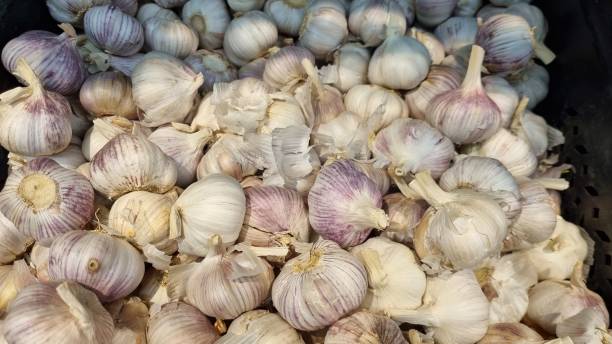 istock Garlic on the counter of a vegetable store. 1483045936