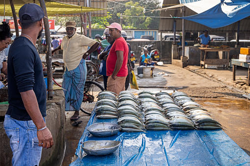 Negombo, Sri Lanka - March 7th 2023:  One of the open air fishmongers shop outside the fish market in Negombo which is the largest in Sri Lanka and is a center for supplying fish to the capital Colombo and for export