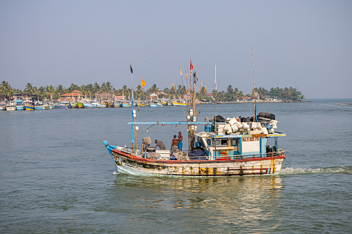 Negombo, Sri Lanka - March 7th 2023: Fishing boat close to the coast outside the fish market in Negombo which is the largest in Sri Lanka and is a center for supplying fish to the capital Colombo and for export
