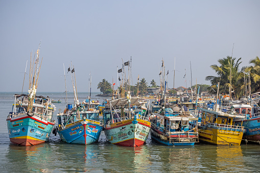 Negombo, Sri Lanka - March 7th 2023:  Colorful fishing vessels in the harbor area beside the fish market in Negombo which is the largest in Sri Lanka and is a center for supplying fish to the capital Colombo and for export